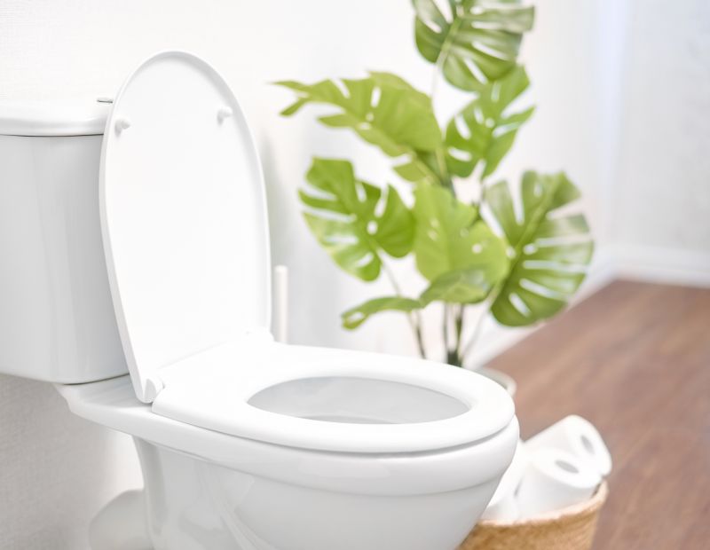 Toilet Repair in Denver, CO